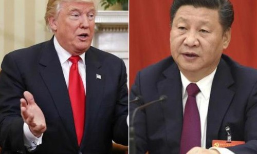 接骨草药及草药图片-接骨草的用法、接骨草药用法与功效 -接骨草药用法网