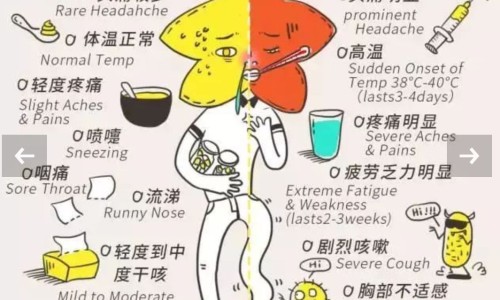 接骨草药-接骨草的用法、接骨草药用法与功效 -接骨草药用法网