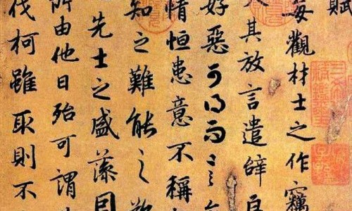 接骨草药及草药图片-接骨草的用法、接骨草药用法与功效 -接骨草药用法网